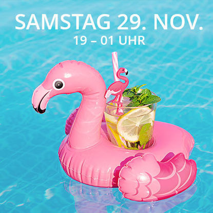 Bild von Ticket Samstag 29.11.2025 (Early Bird)