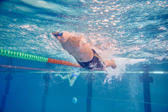 Bild von Schwimmtraining Delfin